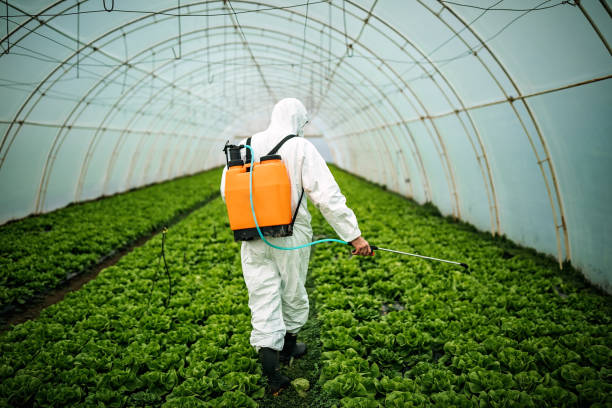 Best Pest Removal Services  in Murray, KY