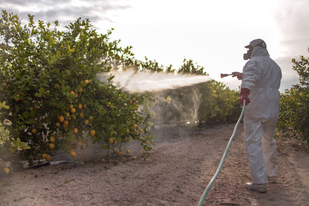 Best Pest Control for Homes  in Murray, KY