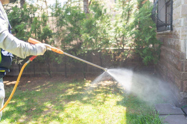 Best Termite Control Services  in Murray, KY