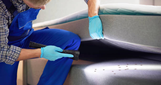 Best Pest Control Treatment  in Murray, KY