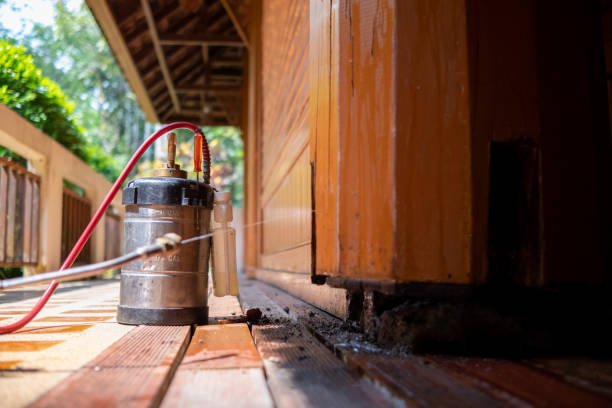 Best Wasp Removal Services  in Murray, KY