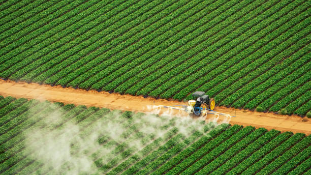 Pest Control Cost in Murray, KY