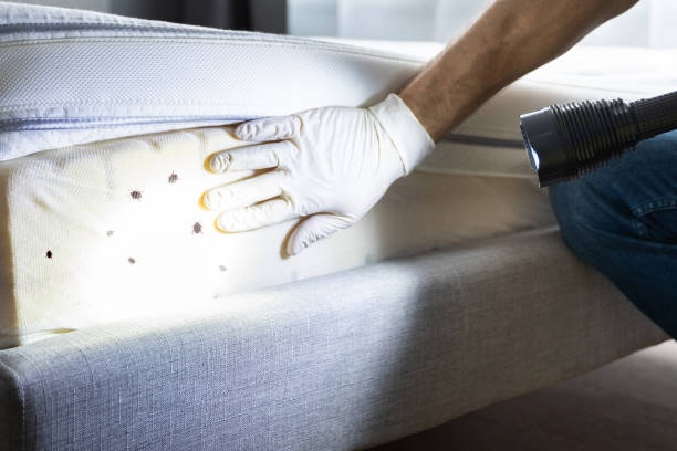 Best Pest Prevention Services  in Murray, KY