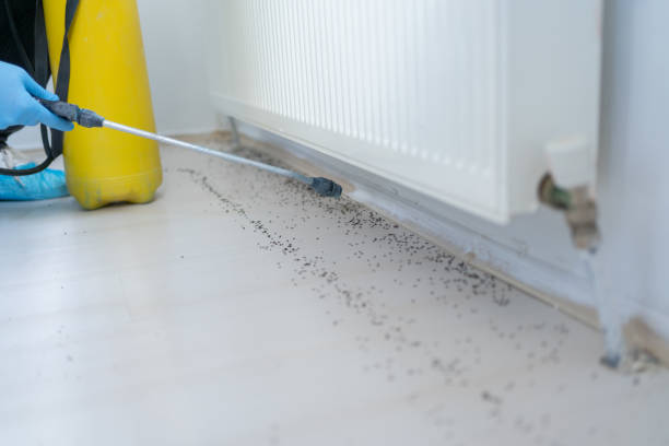 Best Commercial Pest Control Services  in Murray, KY